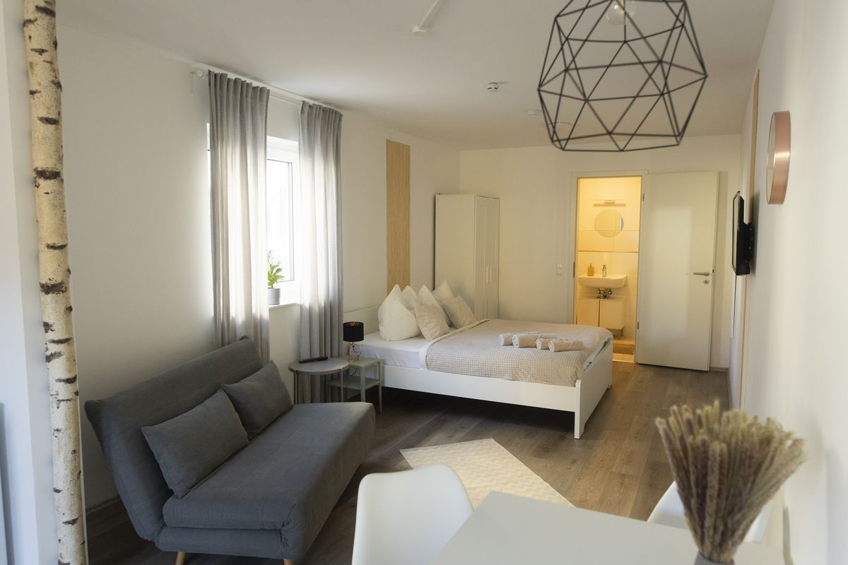 Wohn- und Schlafbereich mit Schlafsofa und Bett