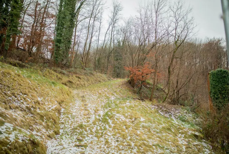 Waldweg direkt hinter dem Haus